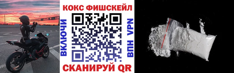 Кокаин Fish Scale  закладки  Новомосковск 