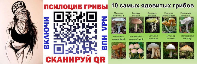 hydra как войти  что такое   Новомосковск  Галлюциногенные грибы Psilocybe 
