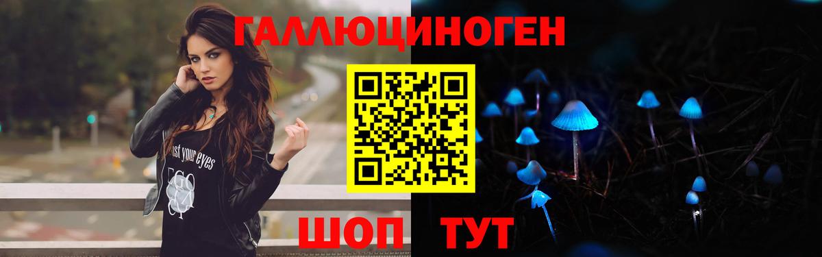 Новомосковск  Галлюциногенные грибы Psilocybine cubensis  Вход с VPN 