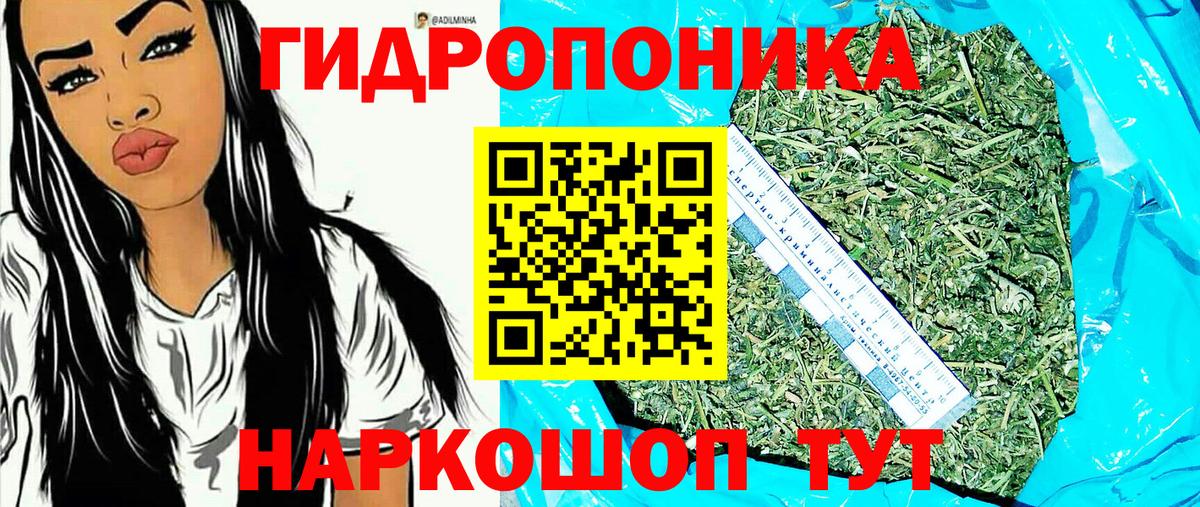 Каннабис гибрид Новомосковск